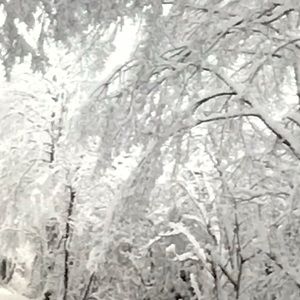 Meet your Posher, Carrie